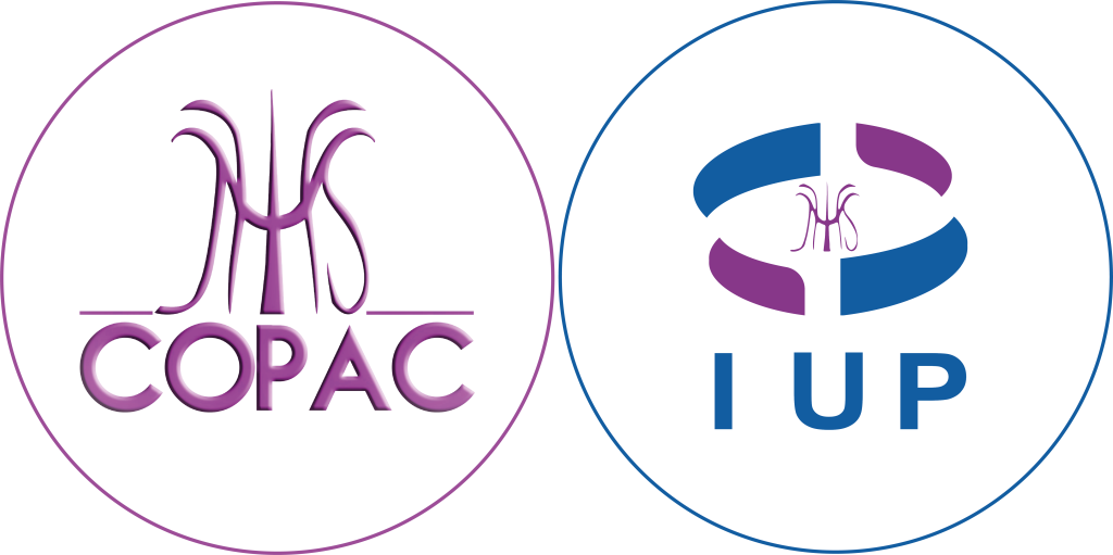 Accueil - Copac Africa